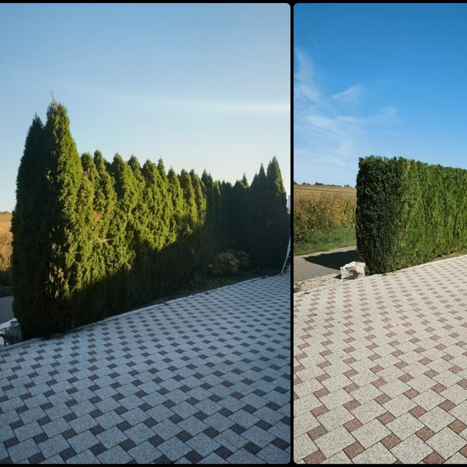 Fachgerechte Gartenarbeiten und Pflege von Grünflächen in Reutlingen