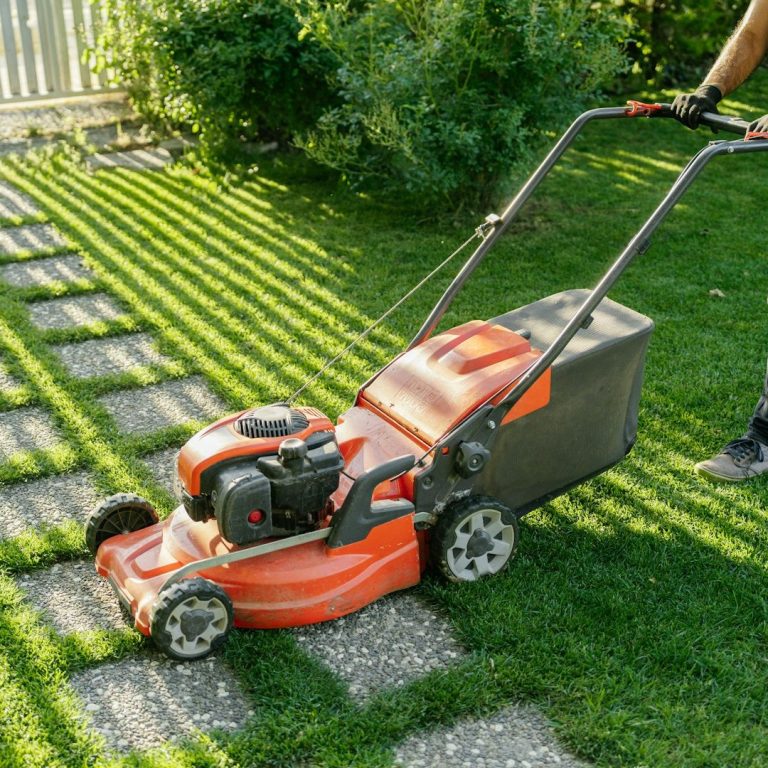 Professionelle Gartenpflege mit Rasen- und Grünflächenpflege in Reutlingen