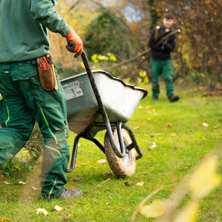 Gartenpflege in Reutlingen – gepflegte Grünfläche und Außenanlage Professionelle Gartenpflege in Reutlingen und Umgebung mit Pflege von Grünflächen, Rasen und Außenanlagen durch RDA Haus- & Gartenservice.